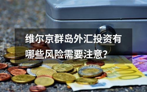 维尔京群岛外汇投资有哪些风险需要注意？