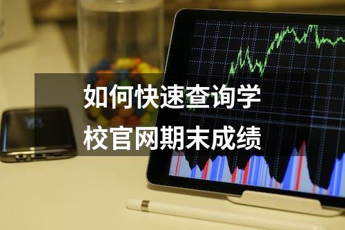 如何快速查询学校官网期末成绩