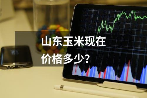 山东玉米现在价格多少？