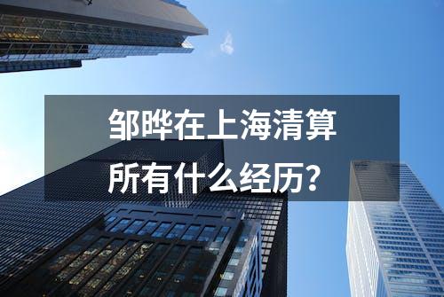 邹晔在上海清算所有什么经历？