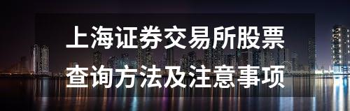 上海证券交易所股票查询方法及注意事项