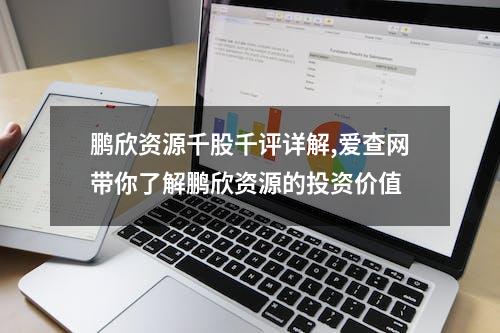 鹏欣资源千股千评详解,爱查网带你了解鹏欣资源的投资价值