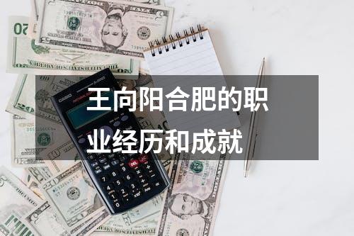 王向阳合肥的职业经历和成就