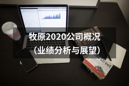 牧原2020公司概况（业绩分析与展望）