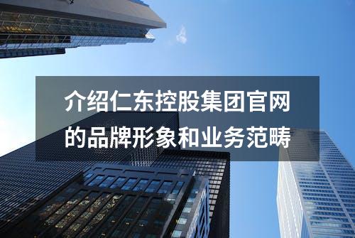 介绍仁东控股集团官网的品牌形象和业务范畴