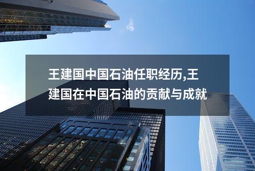 王建国中国石油任职经历,王建国在中国石油的贡献与成就