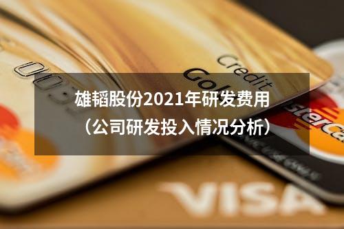 雄韬股份2021年研发费用（公司研发投入情况分析）