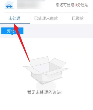 驾车违章什么时候可以查到信息