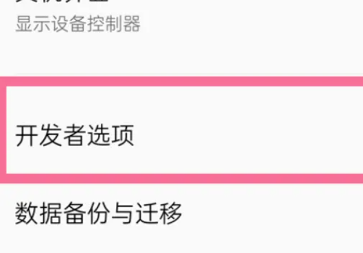 opporeno11如何打开开发者选项