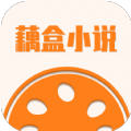 藕盒小说app版