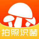 菌窝子蘑菇识别软件